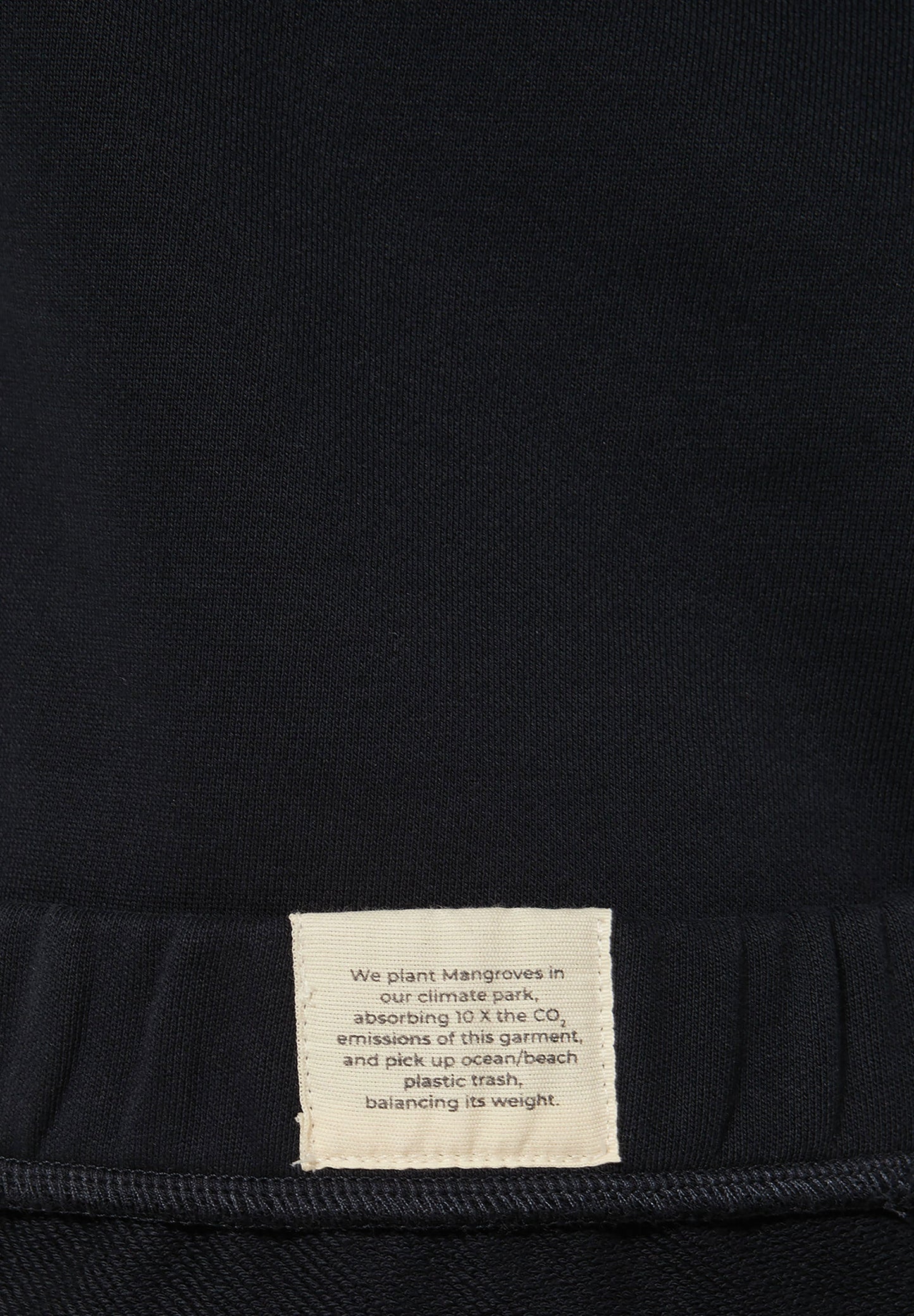 BE THE PLANET HOODIE