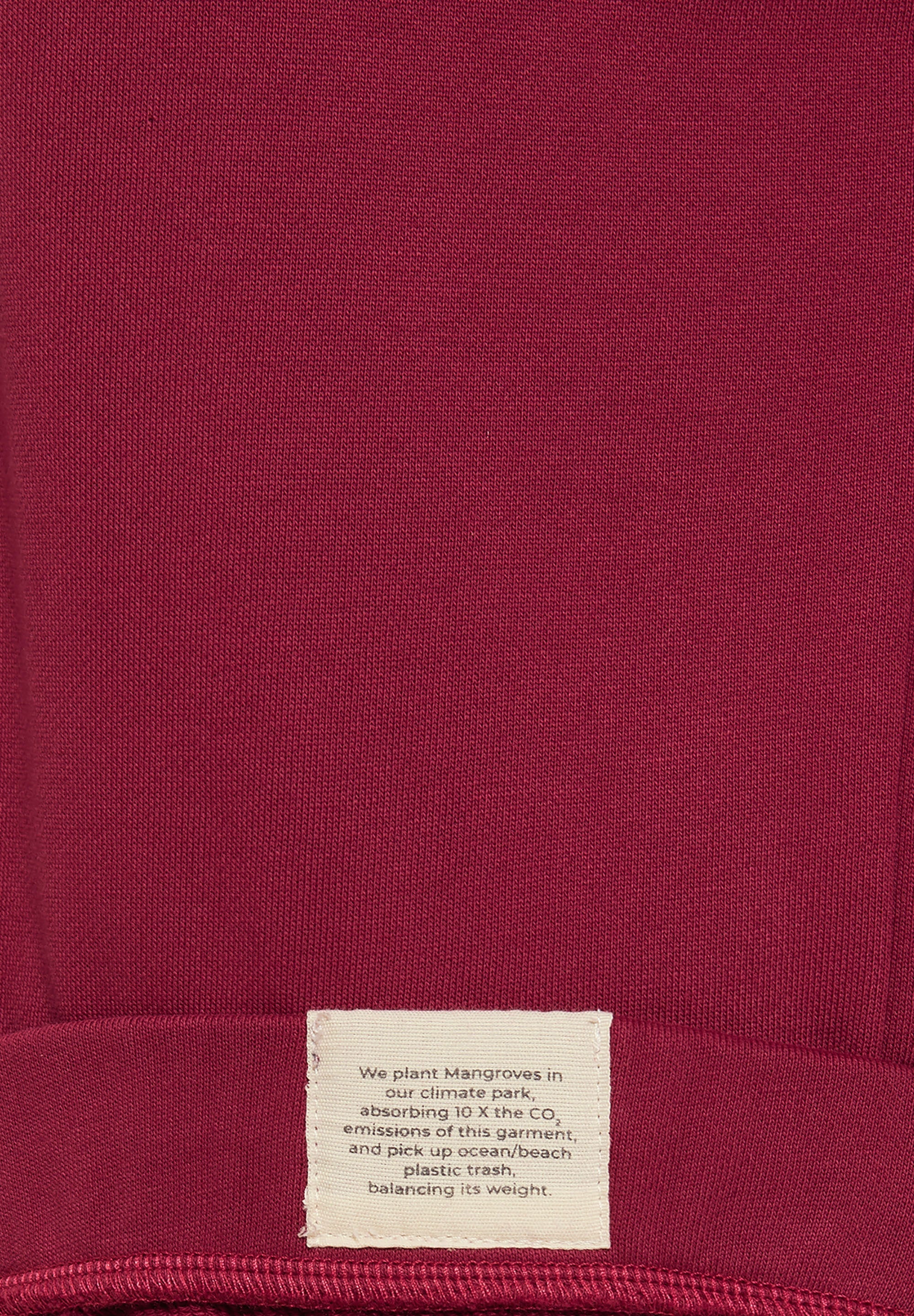 BE THE PLANET HOODIE