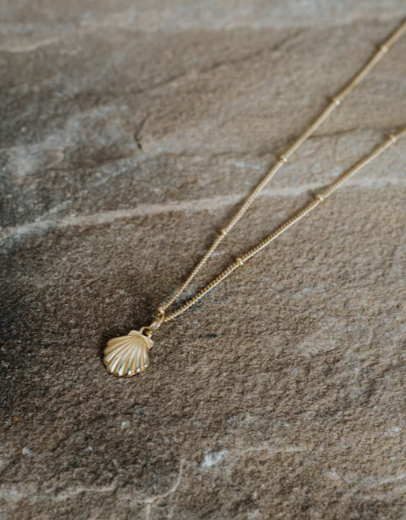 Little Shell Necklace