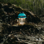BEACON LIGHT TEAL