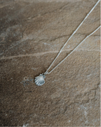Little Shell Necklace