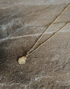 Little Shell Necklace