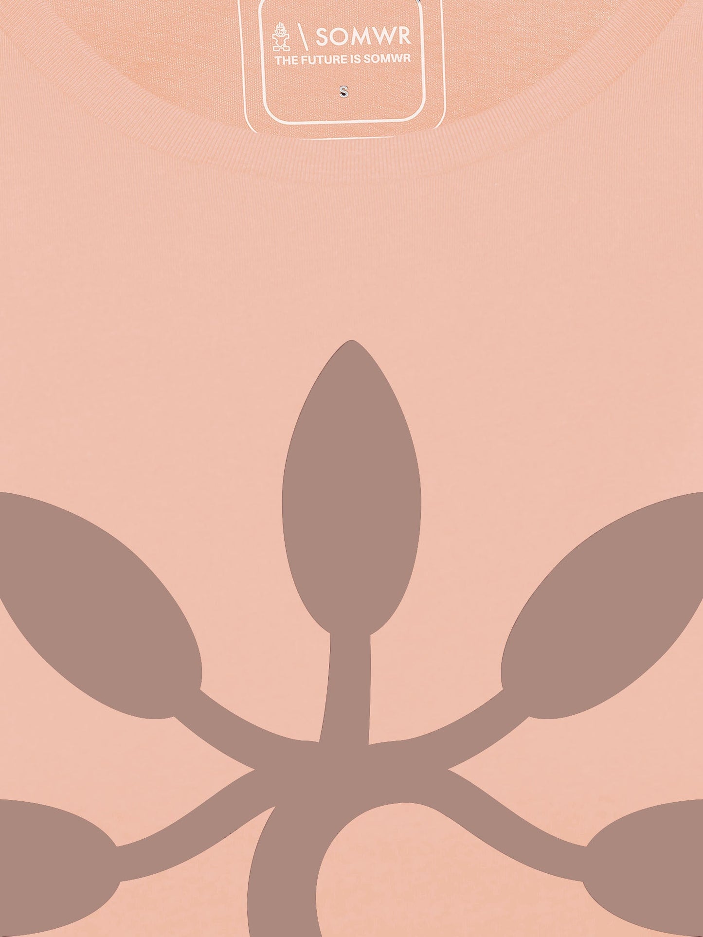CONSERVE