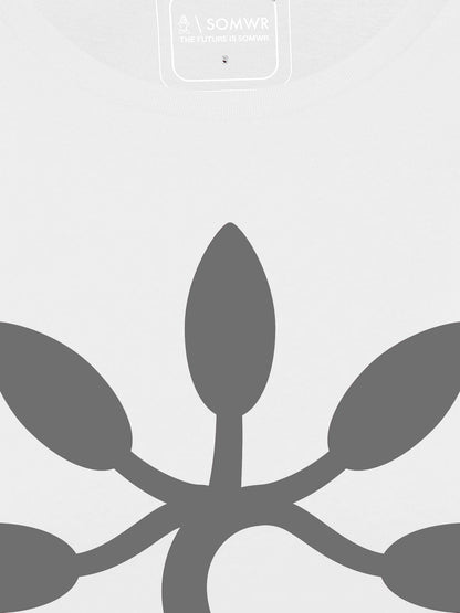 CONSERVE
