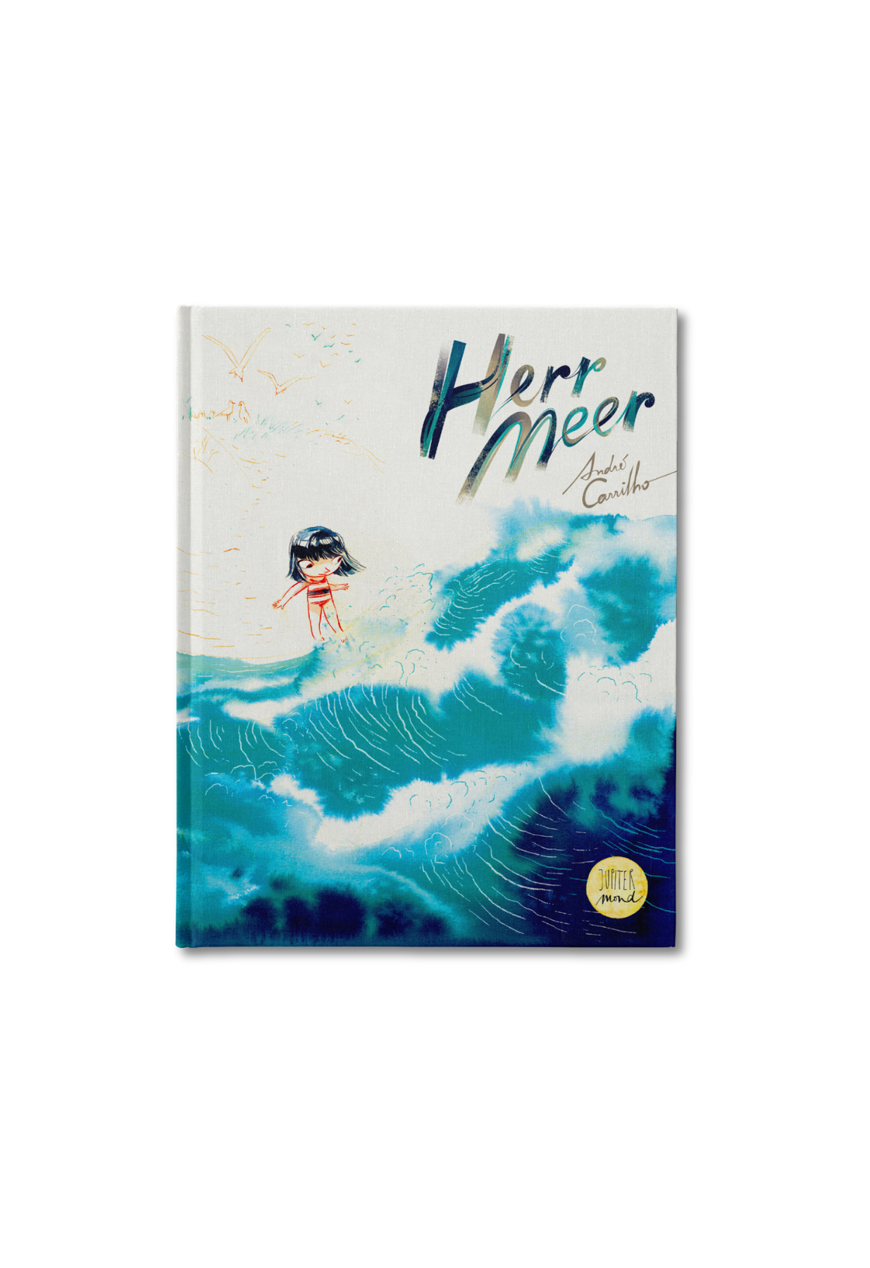 Herr Meer