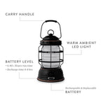 FOREST LANTERN RED 1-325 LUMEN USB V1.2