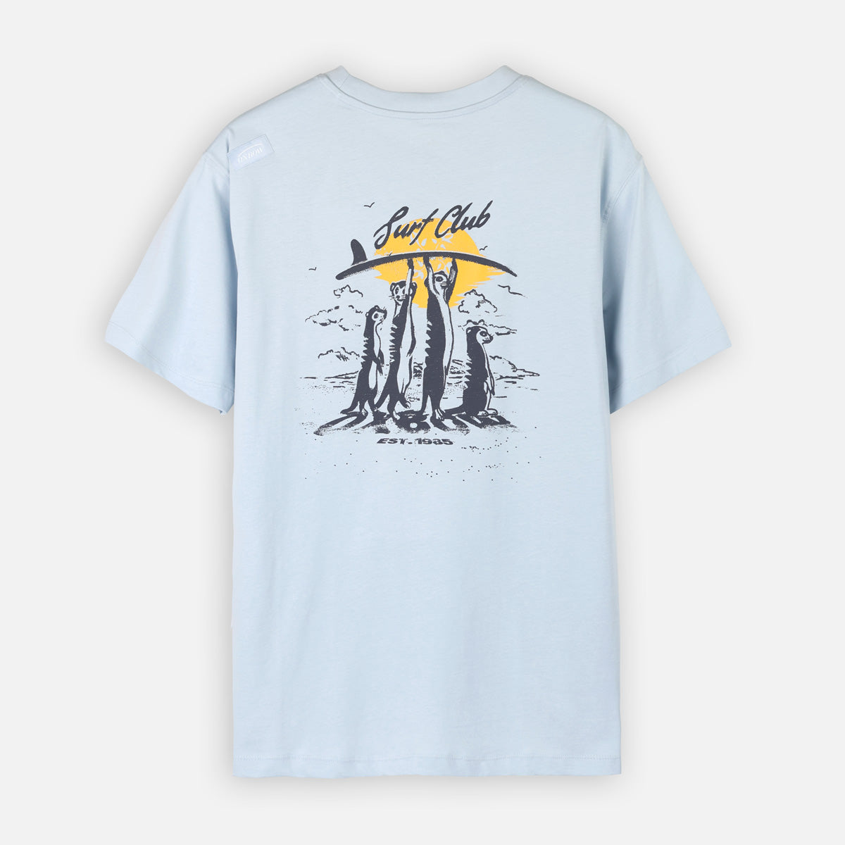 R2SURFICATE-SST