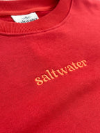 Salt Sister