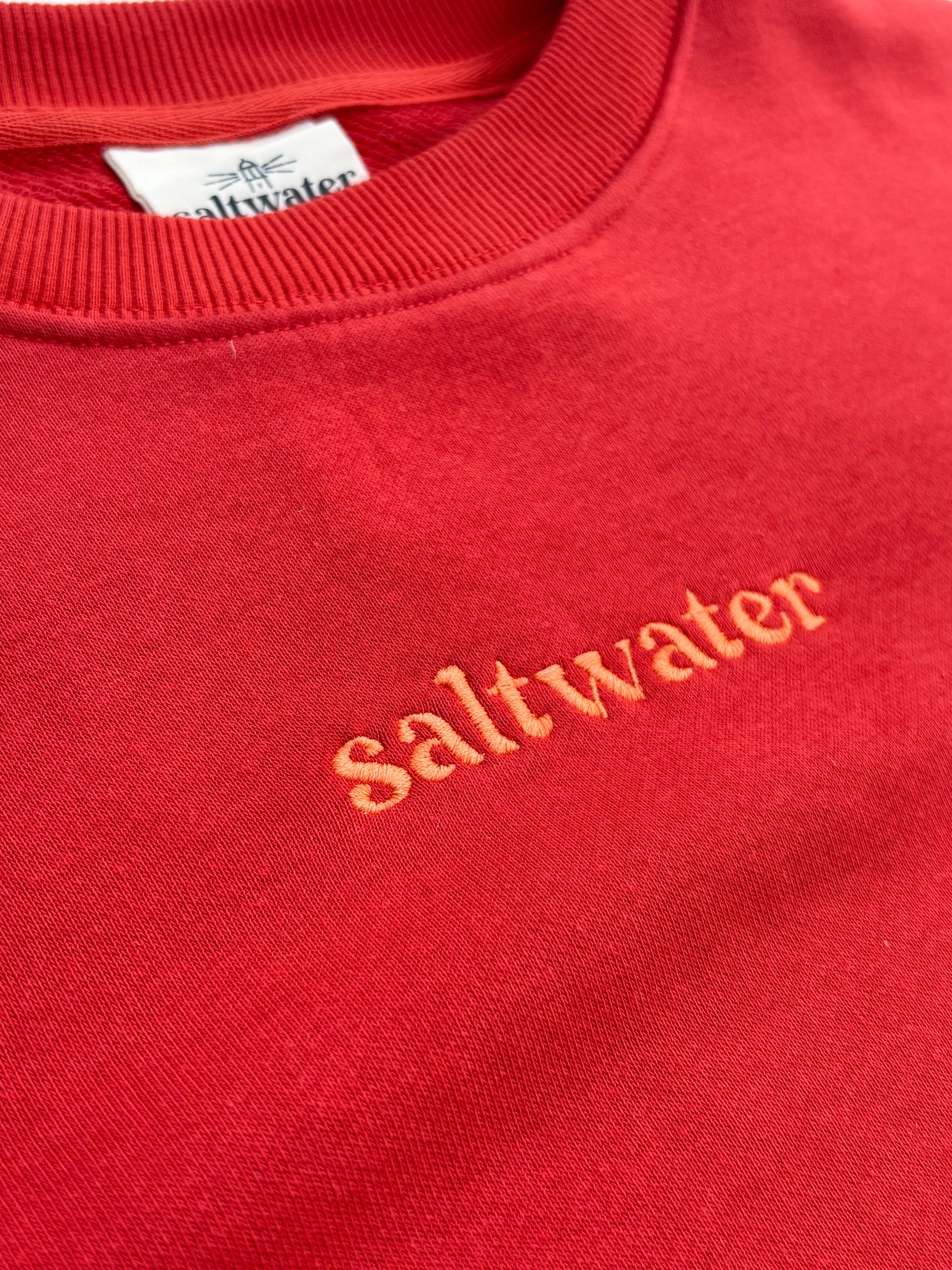 Salt Sister