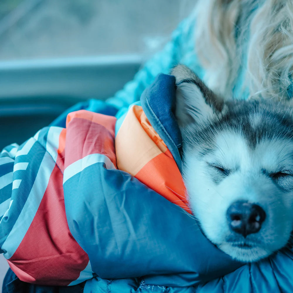 Pet Blanket