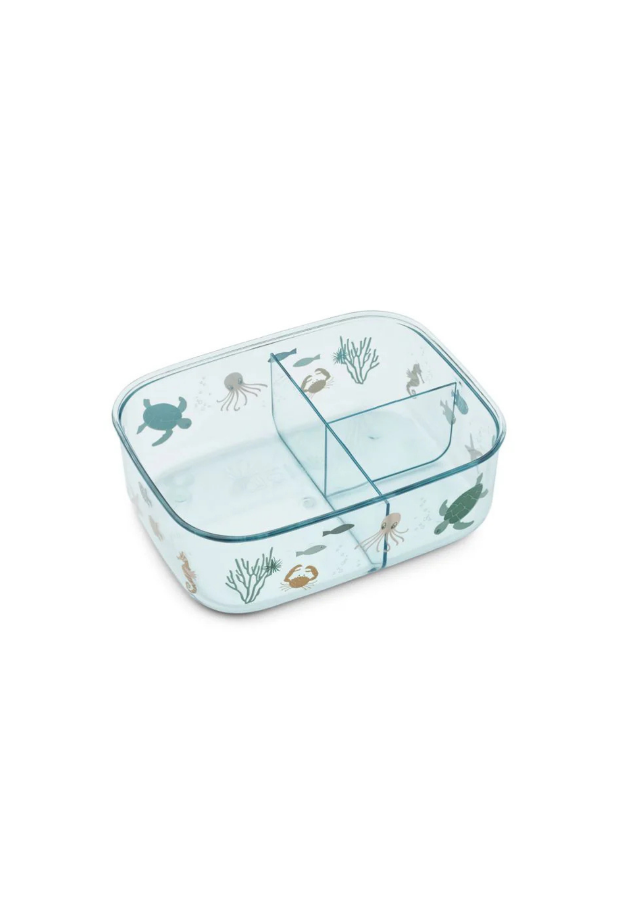 Arthur Tritan Lunchbox