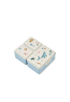 Driss Lunchbox