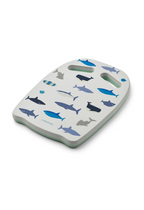 Hayden swim board