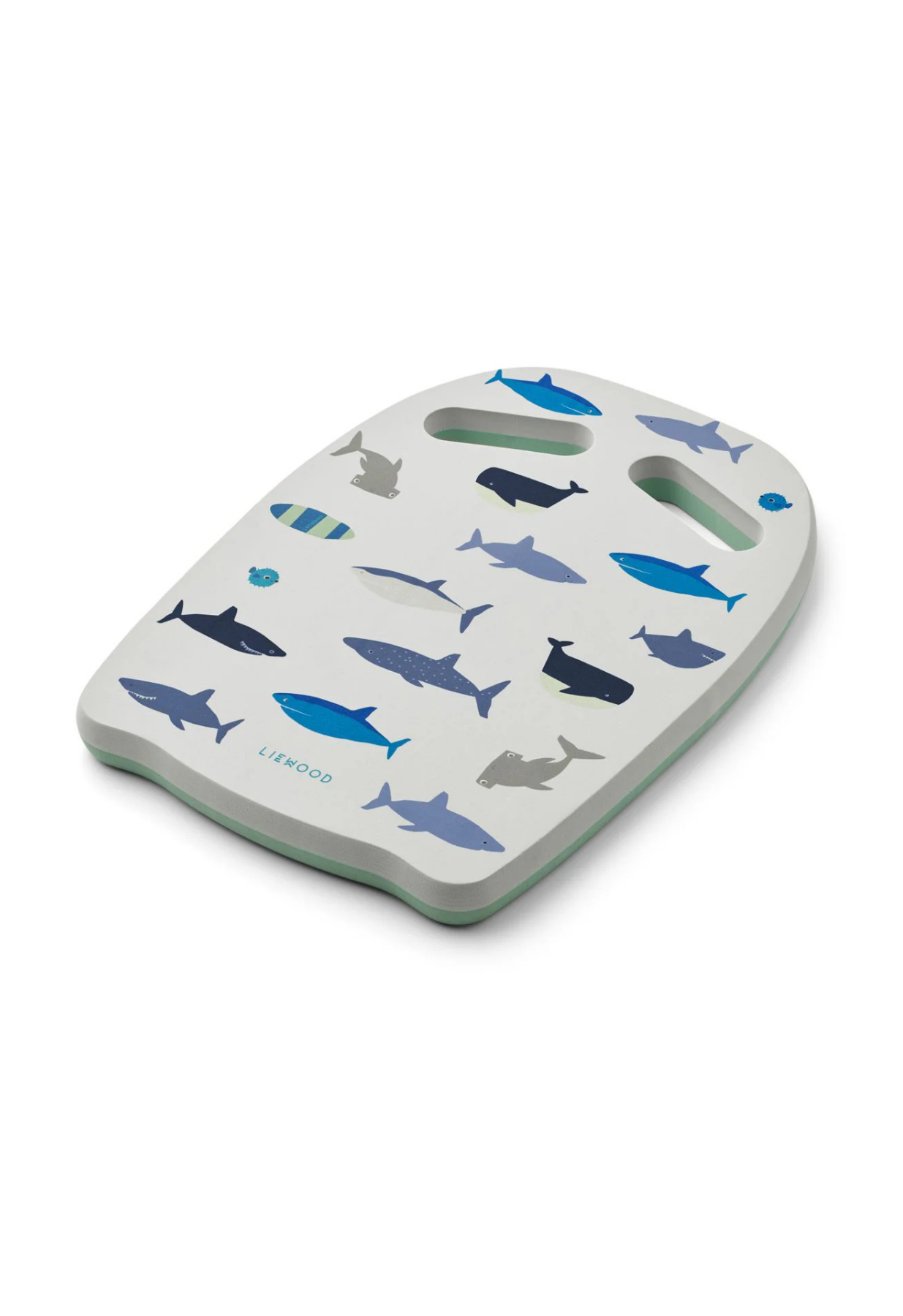 Hayden swim board