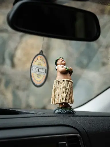 Hawaiian Hula Dashboard Boy